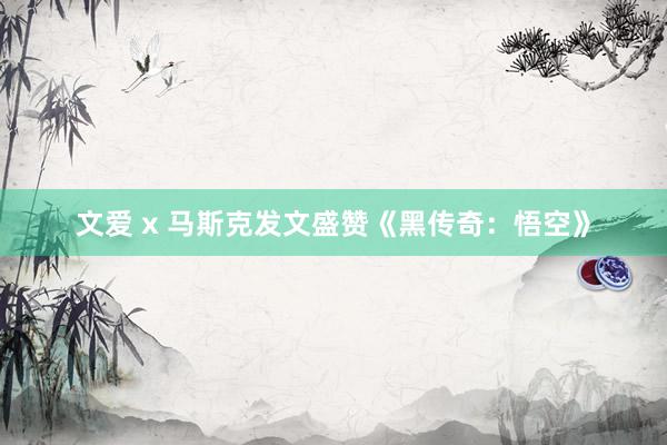 文爱 x 马斯克发文盛赞《黑传奇：悟空》