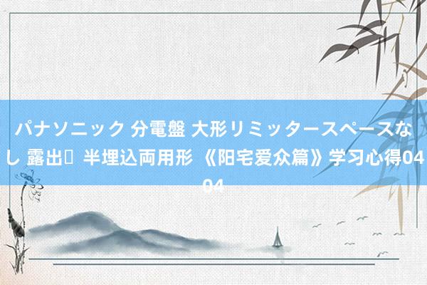 パナソニック 分電盤 大形リミッタースペースなし 露出・半埋込両用形 《阳宅爱众篇》学习心得04