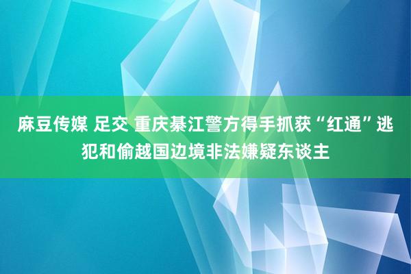 麻豆传媒 足交 重庆綦江警方得手抓获“红通”逃犯和偷越国边境非法嫌疑东谈主