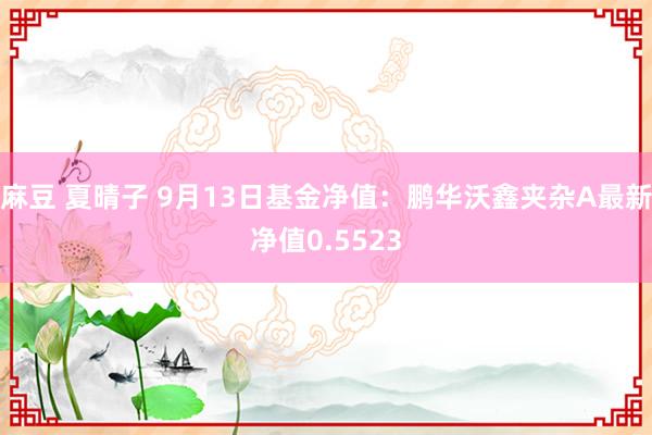 麻豆 夏晴子 9月13日基金净值：鹏华沃鑫夹杂A最新净值0.5523