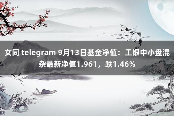 女同 telegram 9月13日基金净值：工银中小盘混杂最新净值1.961，跌1.46%