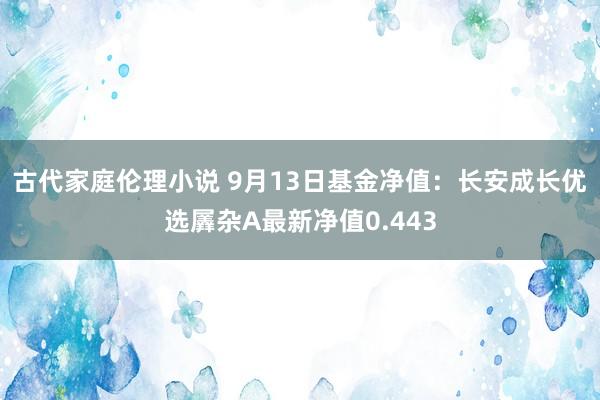 古代家庭伦理小说 9月13日基金净值：长安成长优选羼杂A最新净值0.443