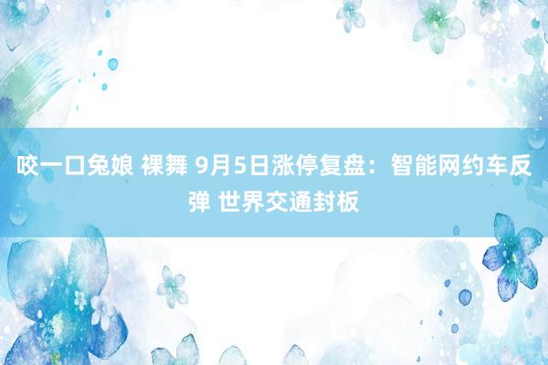 咬一口兔娘 裸舞 9月5日涨停复盘：智能网约车反弹 世界交通封板