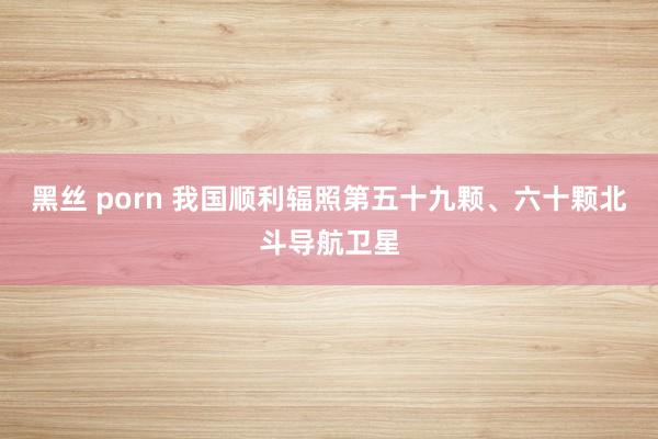 黑丝 porn 我国顺利辐照第五十九颗、六十颗北斗导航卫星