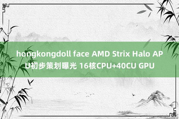 hongkongdoll face AMD Strix Halo APU初步策划曝光 16核CPU+40CU GPU