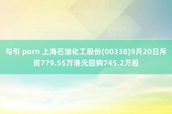 勾引 porn 上海石油化工股份(00338)9月20日斥资779.55万港元回购745.2万股