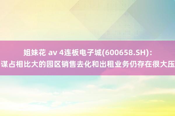 姐妹花 av 4连板电子城(600658.SH)：筹谋占相比大的园区销售去化和出租业务仍存在很大压力