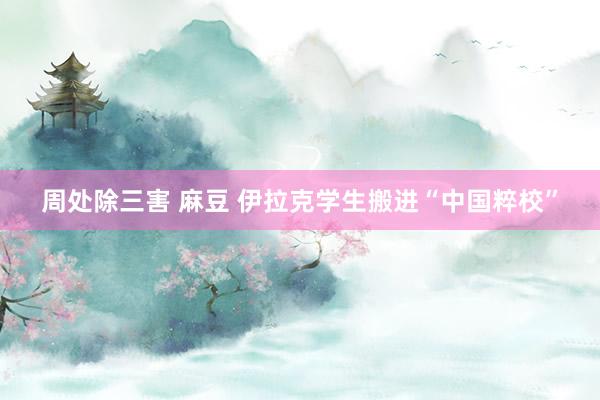 周处除三害 麻豆 伊拉克学生搬进“中国粹校”