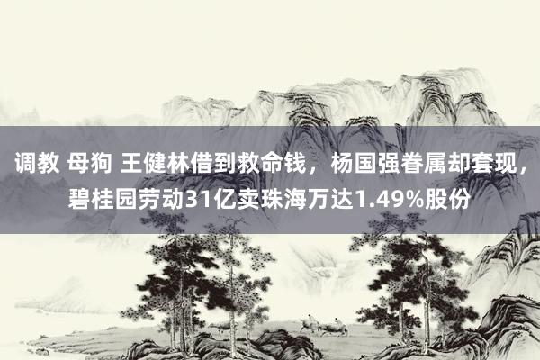调教 母狗 王健林借到救命钱，杨国强眷属却套现，碧桂园劳动31亿卖珠海万达1.49%股份