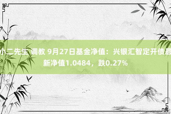 小二先生 调教 9月27日基金净值：兴银汇智定开债最新净值1.0484，跌0.27%