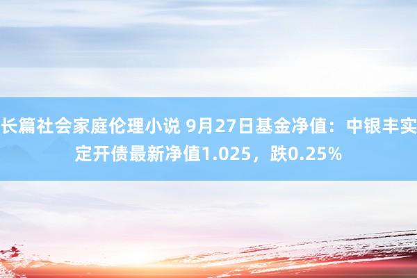 长篇社会家庭伦理小说 9月27日基金净值：中银丰实定开债最新净值1.025，跌0.25%