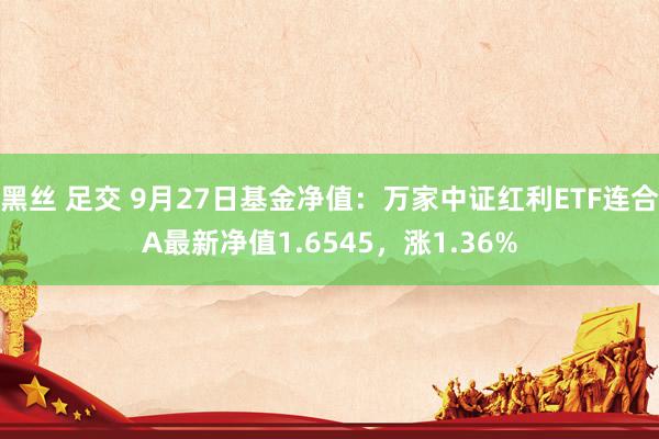 黑丝 足交 9月27日基金净值：万家中证红利ETF连合A最新净值1.6545，涨1.36%