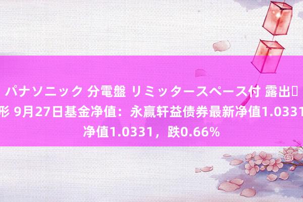 パナソニック 分電盤 リミッタースペース付 露出・半埋込両用形 9月27日基金净值：永赢轩益债券最新净值1.0331，跌0.66%