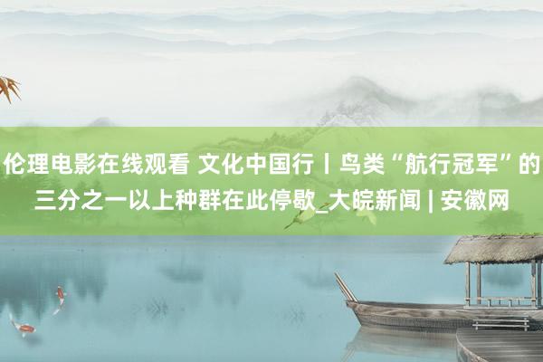伦理电影在线观看 文化中国行丨鸟类“航行冠军”的三分之一以上种群在此停歇_大皖新闻 | 安徽网