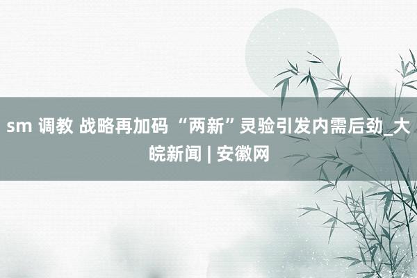 sm 调教 战略再加码 “两新”灵验引发内需后劲_大皖新闻 | 安徽网