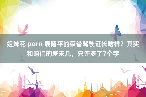 姐妹花 porn 袁隆平的荣誉驾驶证长啥样？其实和咱们的差未几，只许多了7个字