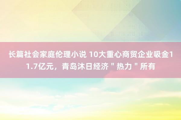 长篇社会家庭伦理小说 10大重心商贸企业吸金11.7亿元，青岛沐日经济＂热力＂所有