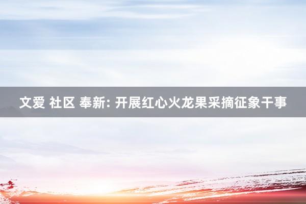 文爱 社区 奉新: 开展红心火龙果采摘征象干事