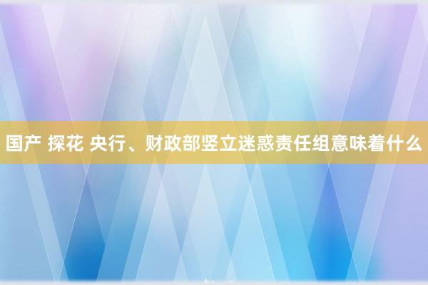 国产 探花 央行、财政部竖立迷惑责任组意味着什么
