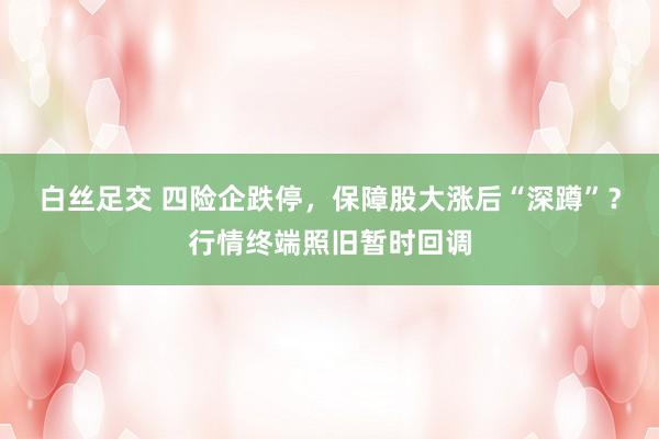 白丝足交 四险企跌停，保障股大涨后“深蹲”？行情终端照旧暂时回调