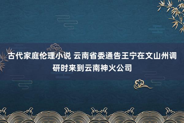 古代家庭伦理小说 云南省委通告王宁在文山州调研时来到云南神火公司