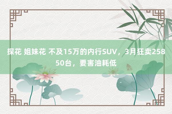 探花 姐妹花 不及15万的内行SUV，3月狂卖25850台，要害油耗低