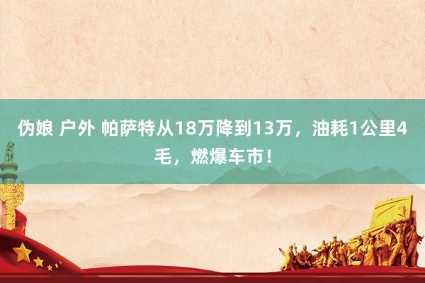 伪娘 户外 帕萨特从18万降到13万，油耗1公里4毛，燃爆车市！