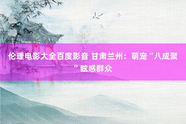 伦理电影大全百度影音 甘肃兰州：萌宠“八成聚”眩惑群众