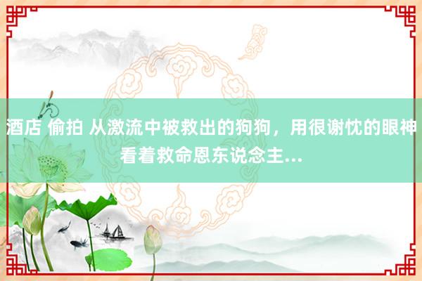 酒店 偷拍 从激流中被救出的狗狗，用很谢忱的眼神看着救命恩东说念主...