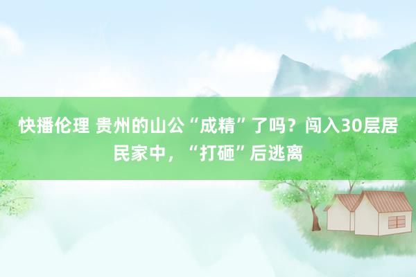 快播伦理 贵州的山公“成精”了吗？闯入30层居民家中，“打砸”后逃离