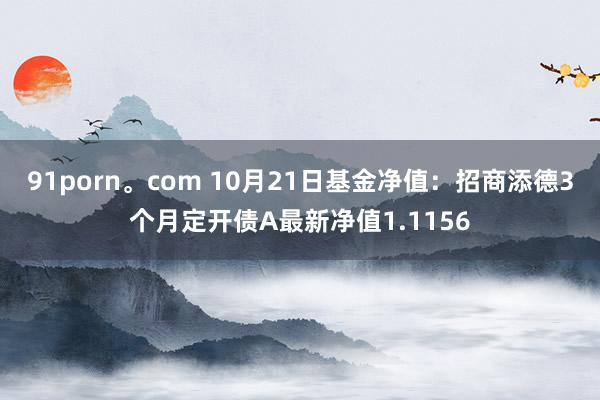 91porn。com 10月21日基金净值：招商添德3个月定开债A最新净值1.1156