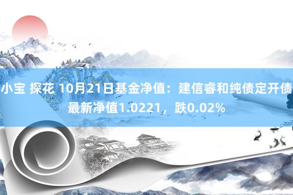 小宝 探花 10月21日基金净值：建信睿和纯债定开债最新净值1.0221，跌0.02%