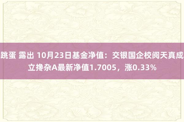 跳蛋 露出 10月23日基金净值：交银国企校阅天真成立搀杂A最新净值1.7005，涨0.33%