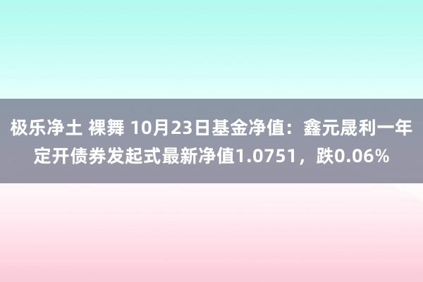极乐净土 裸舞 10月23日基金净值：鑫元晟利一年定开债券发起式最新净值1.0751，跌0.06%