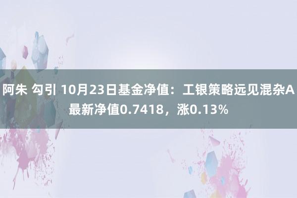 阿朱 勾引 10月23日基金净值：工银策略远见混杂A最新净值0.7418，涨0.13%