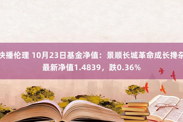 快播伦理 10月23日基金净值：景顺长城革命成长搀杂最新净值1.4839，跌0.36%