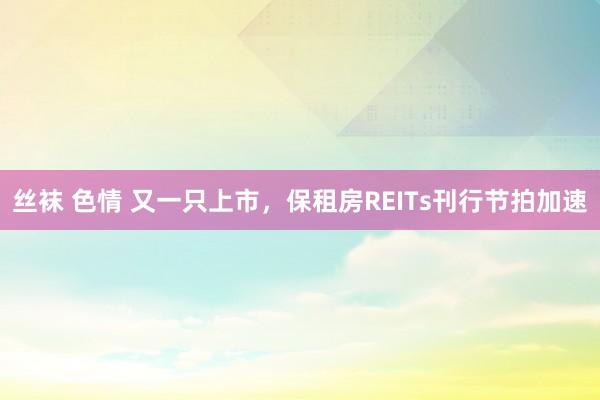 丝袜 色情 又一只上市，保租房REITs刊行节拍加速
