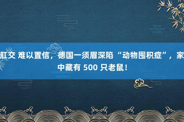 肛交 难以置信，德国一须眉深陷 “动物囤积症”，家中藏有 500 只老鼠！