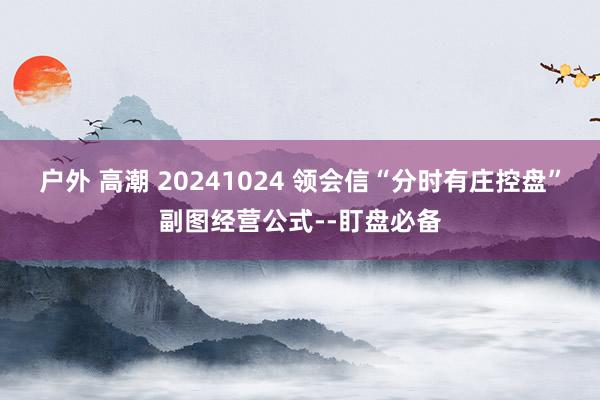 户外 高潮 20241024 领会信“分时有庄控盘”副图经营公式--盯盘必备
