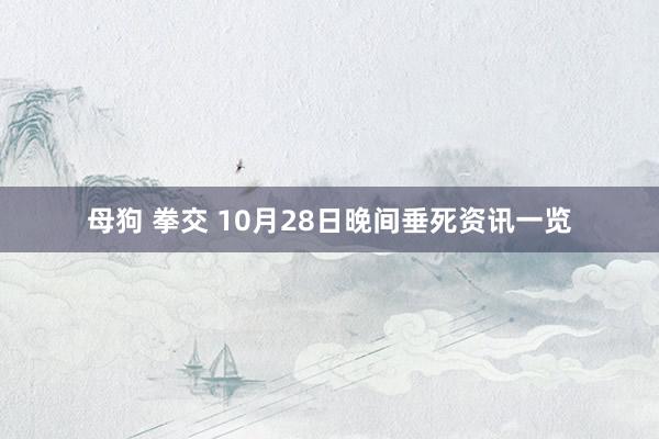 母狗 拳交 10月28日晚间垂死资讯一览