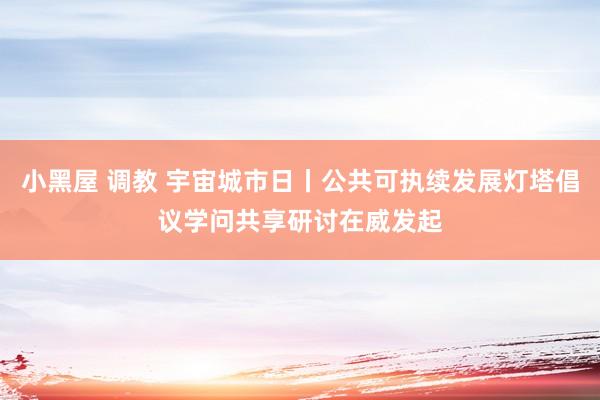 小黑屋 调教 宇宙城市日丨公共可执续发展灯塔倡议学问共享研讨在威发起