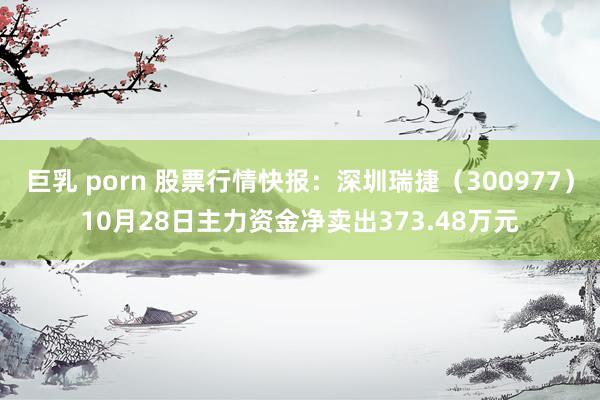 巨乳 porn 股票行情快报：深圳瑞捷（300977）10月28日主力资金净卖出373.48万元