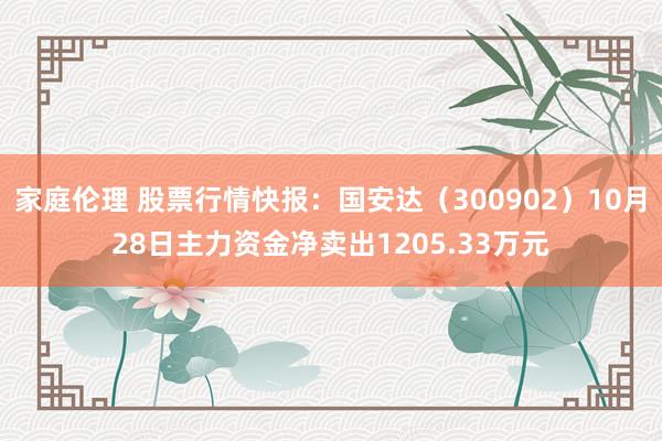 家庭伦理 股票行情快报：国安达（300902）10月28日主力资金净卖出1205.33万元