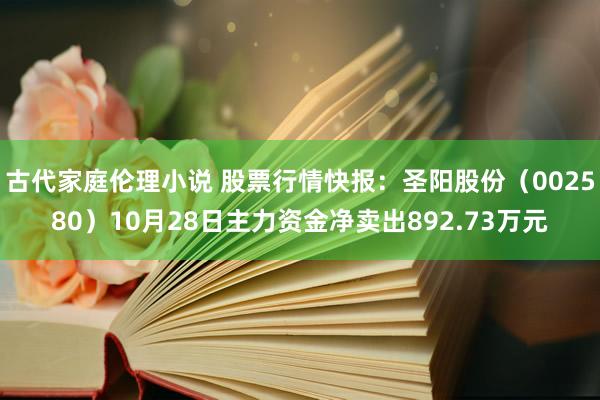 古代家庭伦理小说 股票行情快报：圣阳股份（002580）10月28日主力资金净卖出892.73万元
