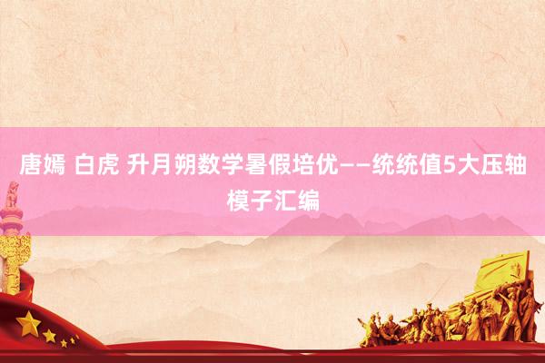 唐嫣 白虎 升月朔数学暑假培优——统统值5大压轴模子汇编