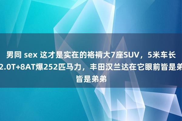 男同 sex 这才是实在的袼褙大7座SUV，5米车长，2.0T+8AT爆252匹马力，丰田汉兰达在它眼前皆是弟弟