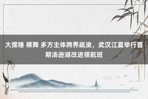 大摆锤 裸舞 多方主体跨界疏浚，武汉江夏举行首期汤逊湖改进领航班