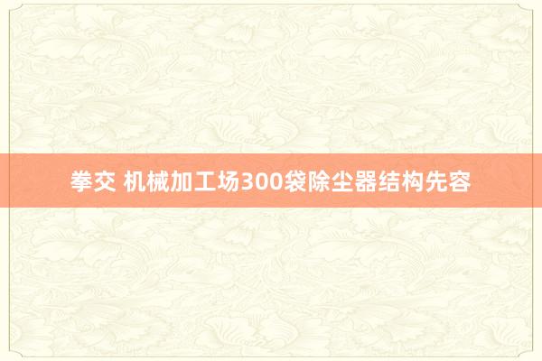 拳交 机械加工场300袋除尘器结构先容