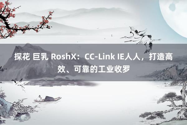 探花 巨乳 RoshX：CC-Link IE人人，打造高效、可靠的工业收罗