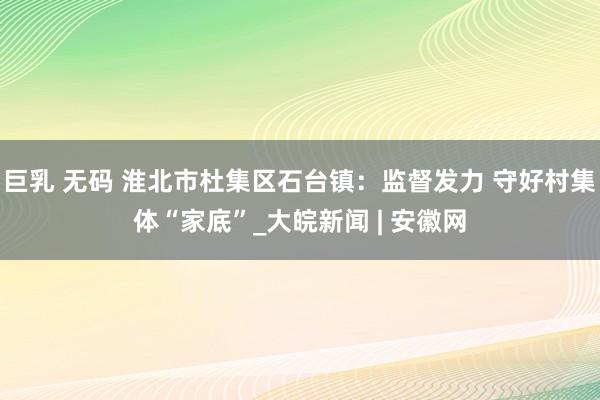 巨乳 无码 淮北市杜集区石台镇：监督发力 守好村集体“家底”_大皖新闻 | 安徽网
